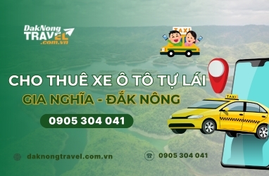 Dịch vụ cho thuê xe ô tô tự lái